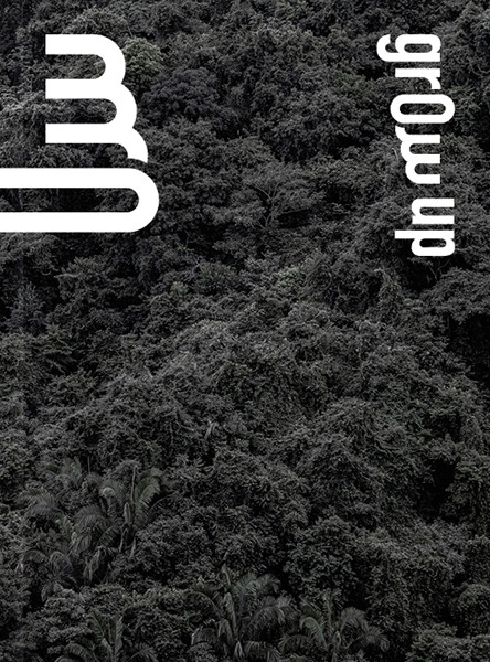 Manuel Rivera-Ortiz Foundation