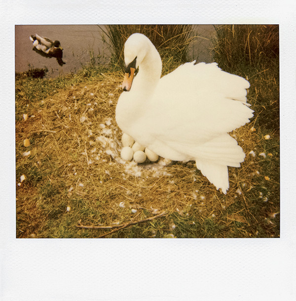 Michaela Spiegel Instant Memoir II Mutti