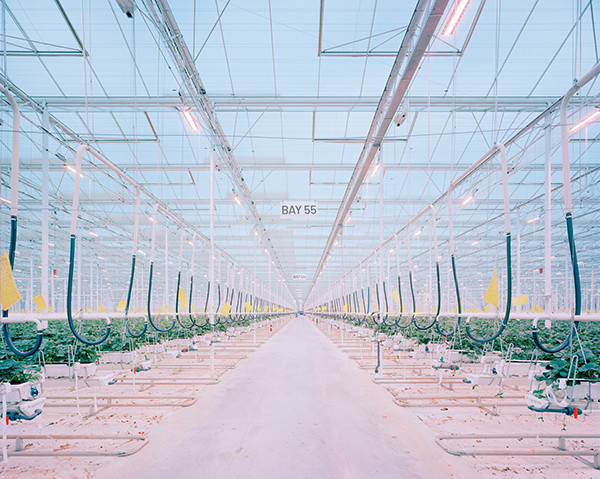 Gregor Sailer Cockaigne 