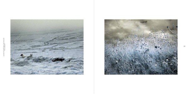 Ulrike Crespo Cold Landscape 