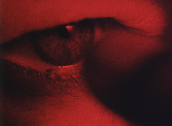 Schaulager Basel / Laurenz-Stiftung Steve McQueen (English Edition) Works