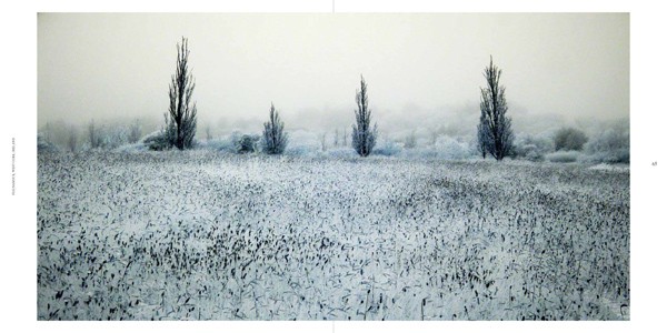 Ulrike Crespo Cold Landscape 