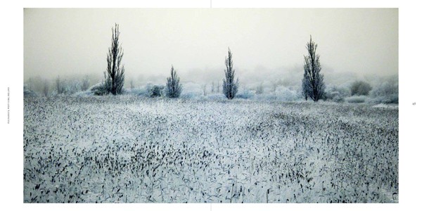Ulrike Crespo Cold Landscape 