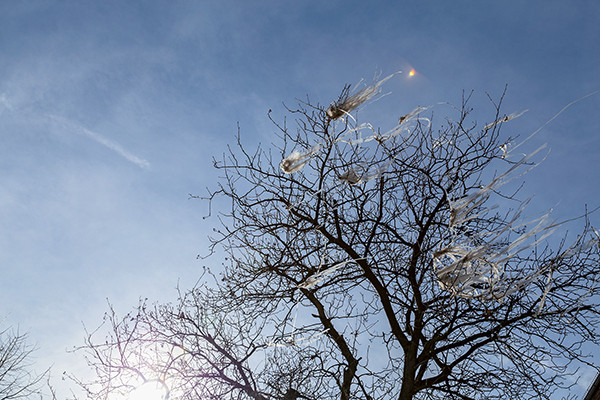 Ethna O’Regan Beyond Reach 