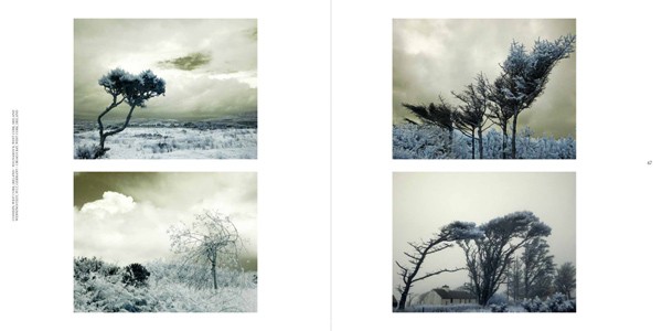 Ulrike Crespo Cold Landscape 