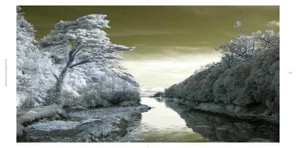 Ulrike Crespo Cold Landscape 