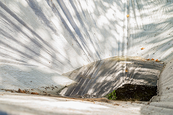 Ethna O’Regan Beyond Reach 