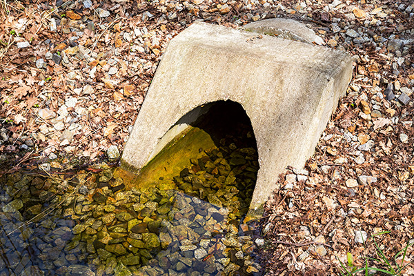 Ethna O’Regan Beyond Reach 