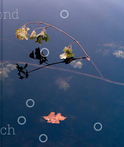 Ethna O’Regan Beyond Reach 