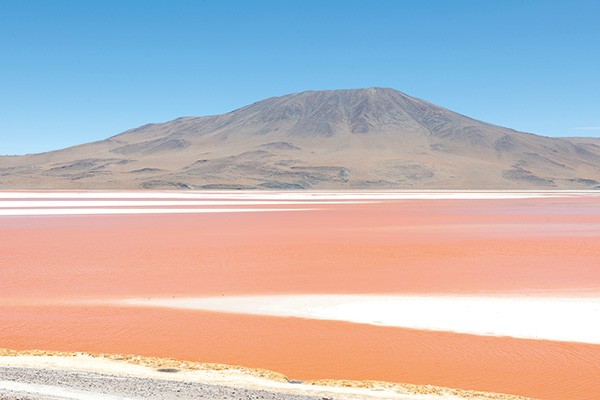 Dierk Maass Incident° of' Light'' 