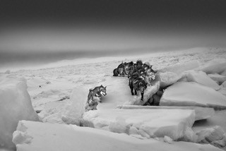 Ragnar Axelsson COLLECTOR´S EDITION: Arctic Heroes Motif 4: »Kangertittivag, Greenland« (2013)
