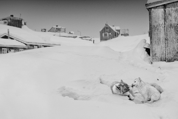 Ragnar Axelsson COLLECTOR´S EDITION: Arctic Heroes Motif 5: »Tiniteqilaaq, Greenland« (2015)