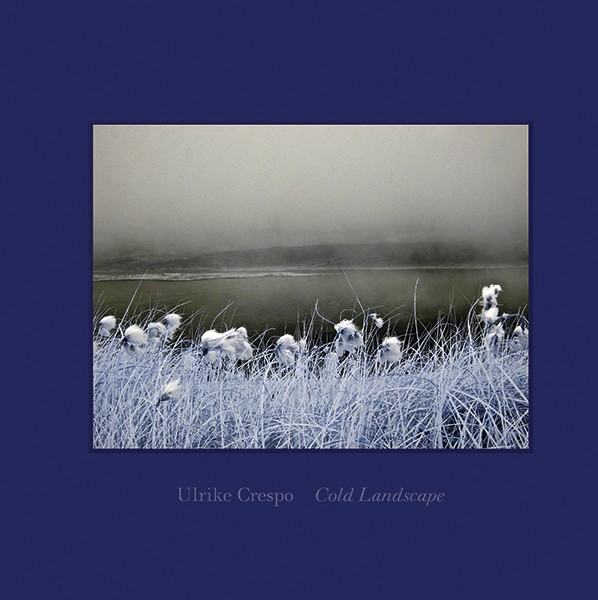Ulrike Crespo Cold Landscape 