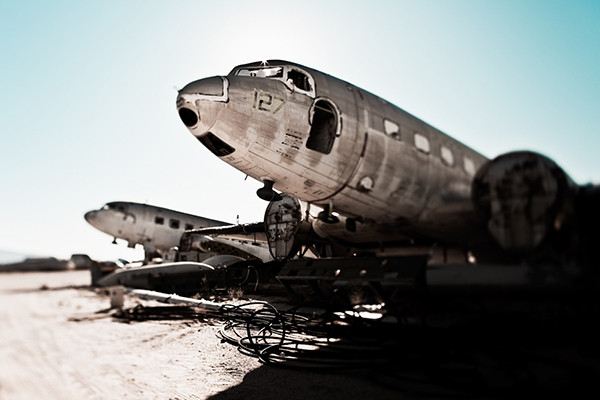 Werner Bartsch Desert Birds 