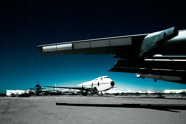Werner Bartsch Desert Birds 