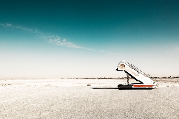 Werner Bartsch Desert Birds 