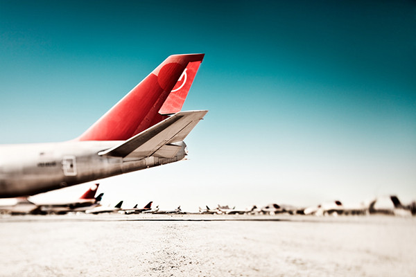 Werner Bartsch Desert Birds 
