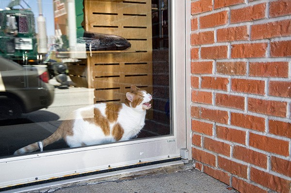 Catherine Leutenegger Kodak City 