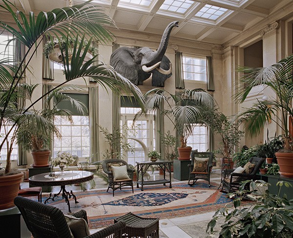 Catherine Leutenegger Kodak City 