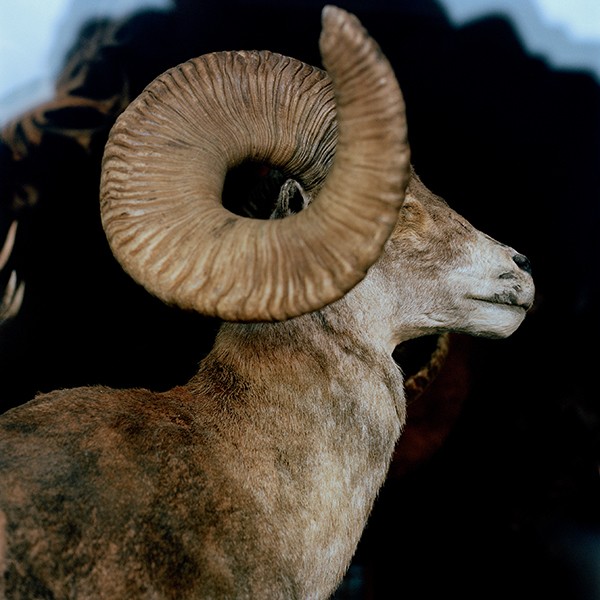 Ronan Guillou Country Limit 