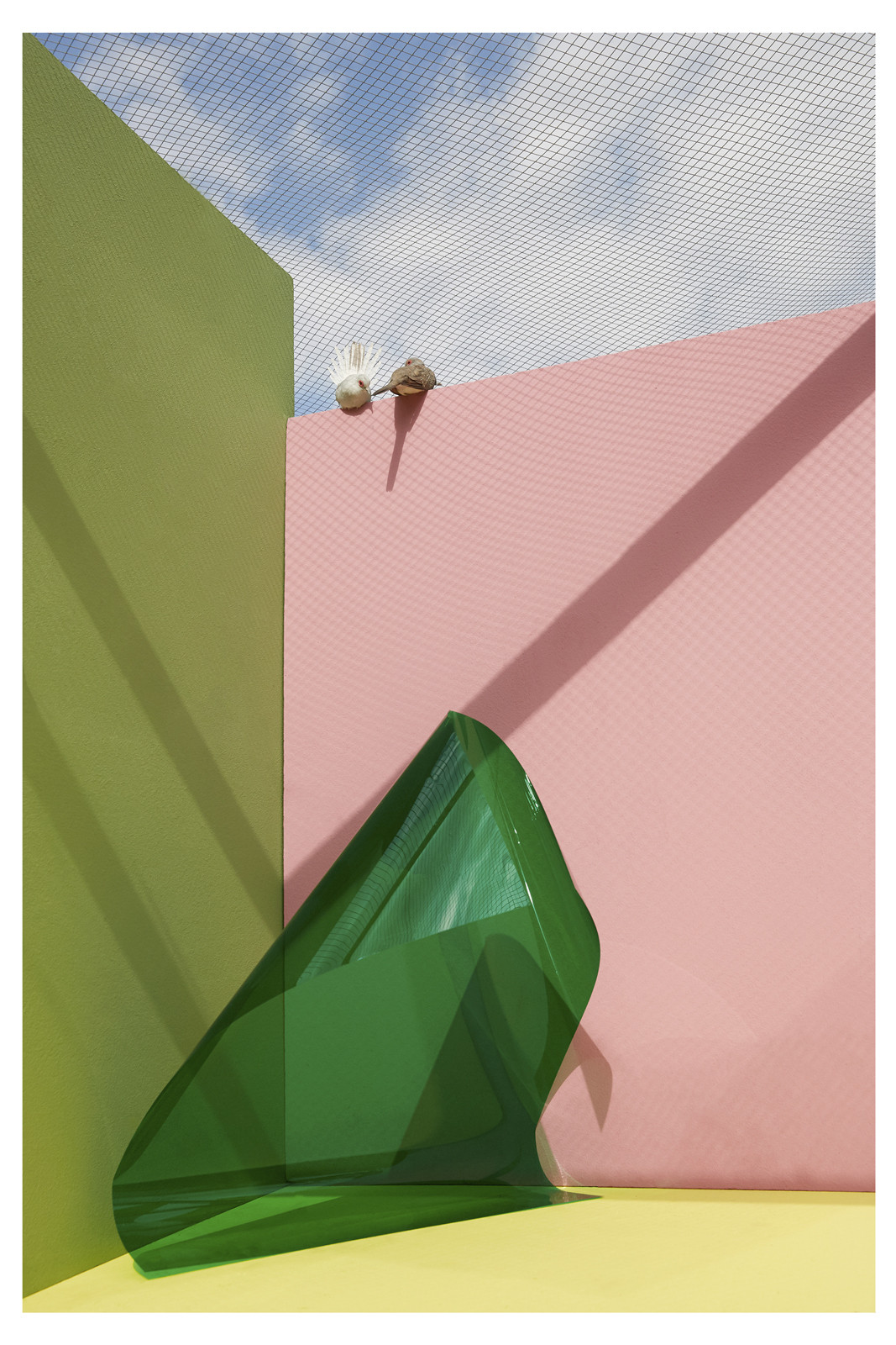 Kristin Schnell COLLECTOR'S EDITION: Of Cages and Feathers »What Is the Thing Called Love, 2023«