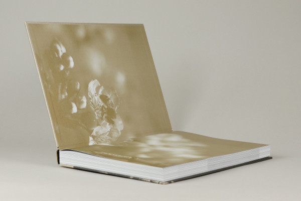 Nicole Simon Goethe is back Spuren eines Genies