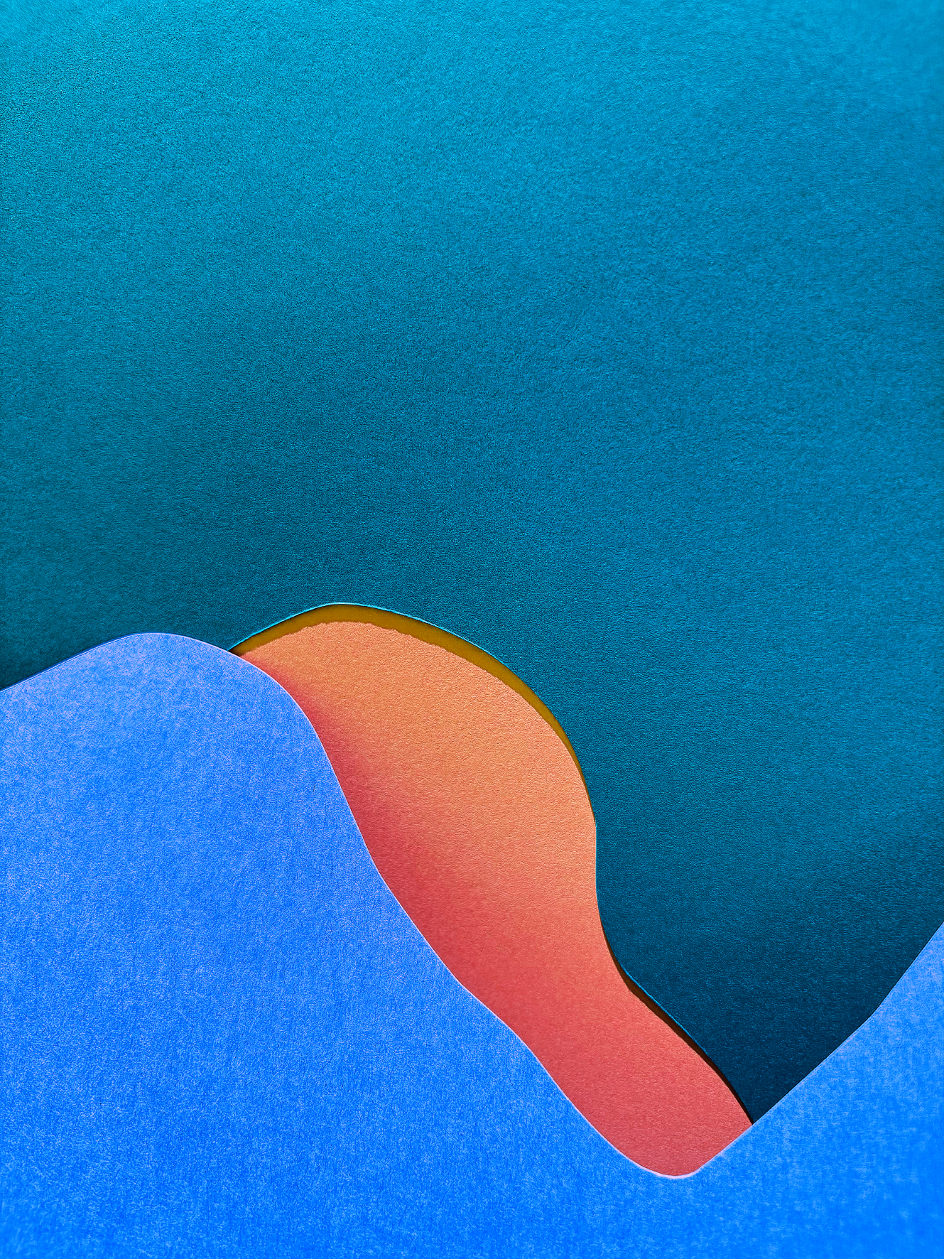Jessica Backhaus