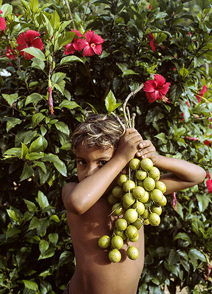 Manuel Rivera-Ortiz Foundation
