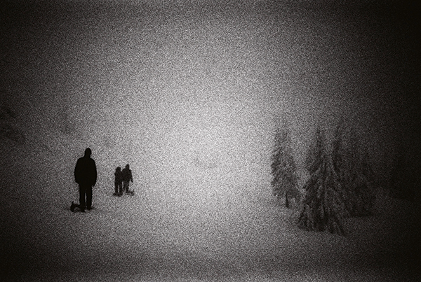 Karen Irmer