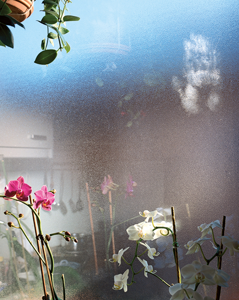 Jessica Backhaus