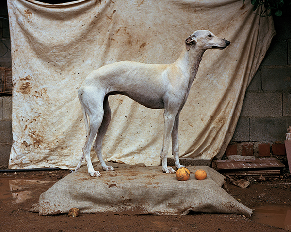 Martin Usborne