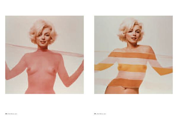 NUDE VISIONS