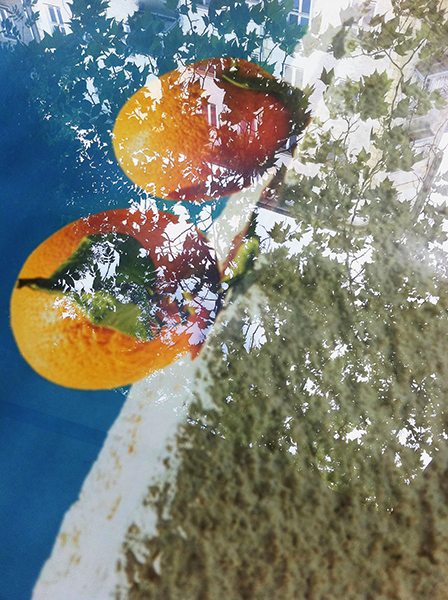 Jessica Backhaus