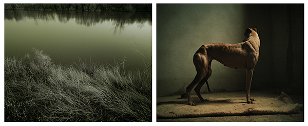 Martin Usborne